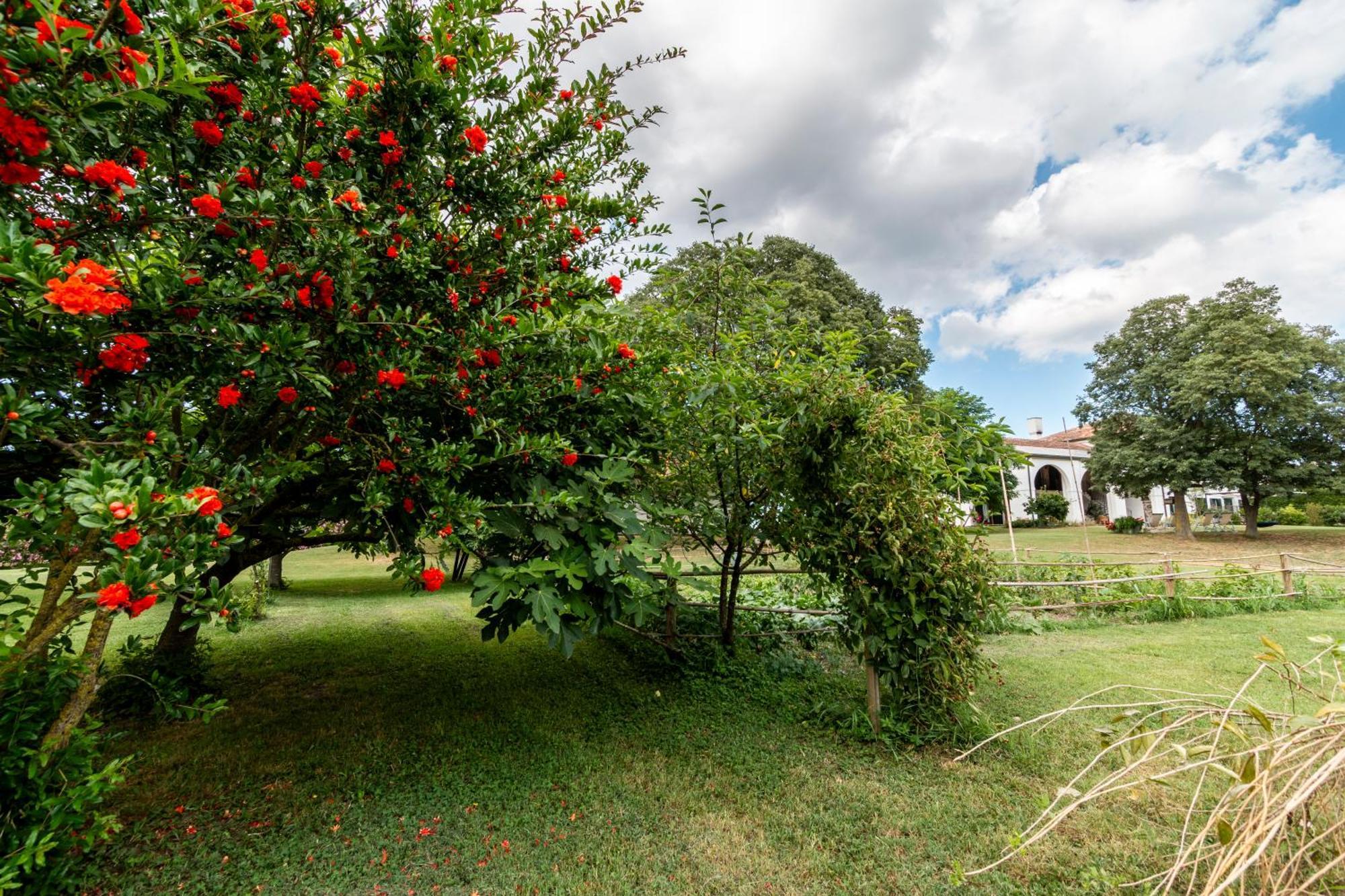 Agriturismo Monte Scala Taglio Di Po Ngoại thất bức ảnh